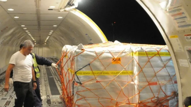 Séptimo vuelo con destino a los Estados Unidos y Europa (los arándanos tucumanos se posicionan)