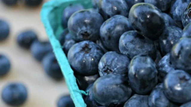 Arándanos for export: comienzan los preparativos de seguridad en Aeropuertos y Aduanas