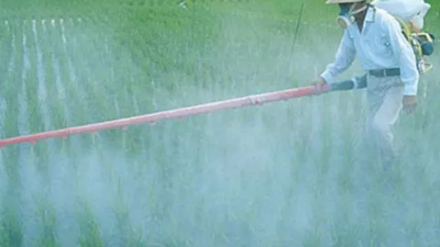 La química Atanor proyecta vender un par de ingenios azucareros por u$s200 millones 