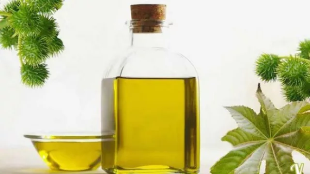 De los tiempos de ñaupa, rescatamos el aceite de ricino. Y nos dicen...