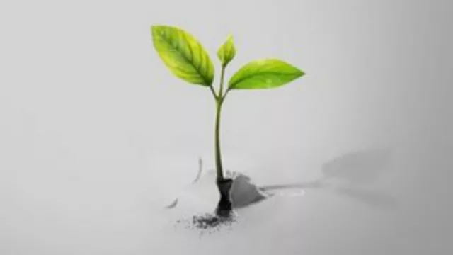 Empiezan a verse brotes verdes: se frenó la caída del consumo