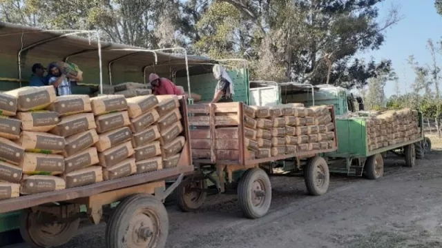 Economía regional: asisten a tabacaleros con la entrega de $ 355 millones en fertilizantes
