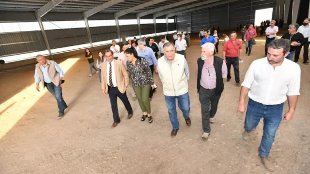 Cómo se encuentra el sector citrícola tucumano en oferta y demanda (según la empresa La Patria SRL)