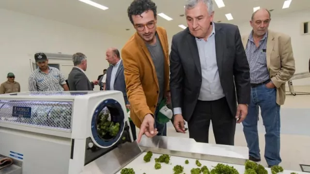 Jujuy tiene la única Planta Industrial de procesamiento de Cannabis Medicinal habilitada por ANMAT