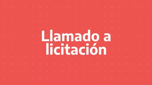 Llamado a licitación de Lelites, Ledes y Lecer