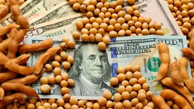 El BCRA realizó una fuerte compra de divisas tras la puesta en marcha del dólar soja