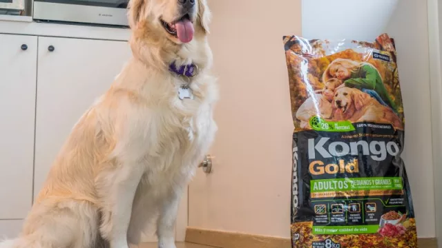 Baires, la compañía de nutrición animal que produce por día 650 toneladas de alimento para mascotas (y que exporta a 13 países)