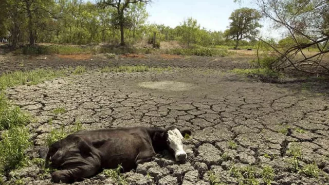 Falta agua y el 2023 aparece sombrío para el campo de Salta: sólo se cubrió el 15% de la superficie de siembra