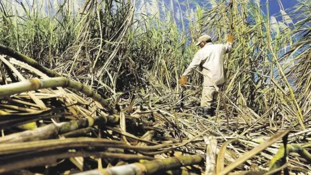 Sectores productivos de Jujuy mantienen reuniones con el Gobierno por medidas frente a la sequía