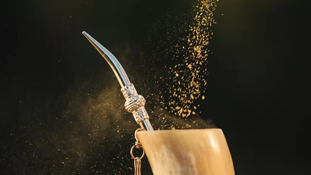 Yerba mate para el mundo: en Polonia la toman como mate, en Japón como té y en Bolivia como tereré