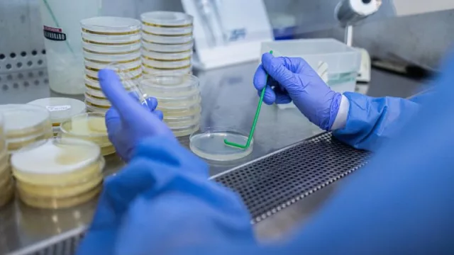 JLA se asienta en Tucumán con un laboratorio para fortalecer el sector citrícola (para montarlo invirtieron US$ 700.000)