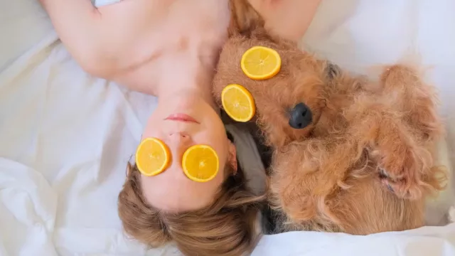 De vacaciones con nuestras mascotas