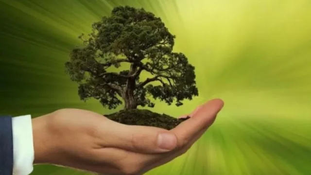 Gen V, la ONG que ayuda a tu empresa a colaborar con el ambiente (cómo hacer para usar menos plásticos y ser amigable con los animales)