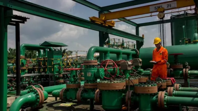 La paradoja de la abundancia: ¿cómo se explica que un país rico en recursos no genere crecimiento económico?