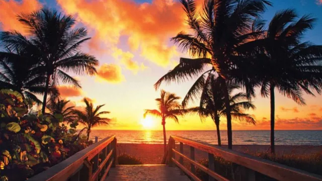 El ardiente verano de Miami ha traído una revelación impactante: récord histórico de temperatura en el mar