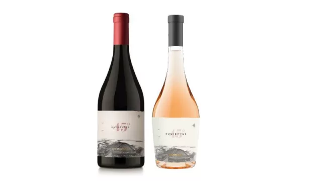 4 Pinot Noir extremos para celebrar la cepa en su día