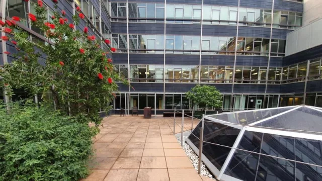 Nace la Barcelona Finance School del IEF (como "centro de referencia de finanzas")