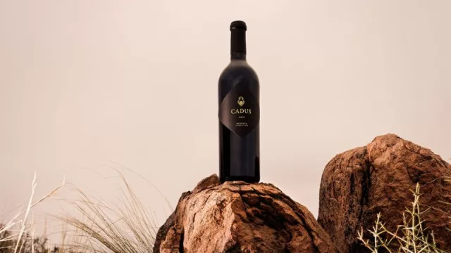 Cadus integra el “Top 100 Wines of Argentina 2023”