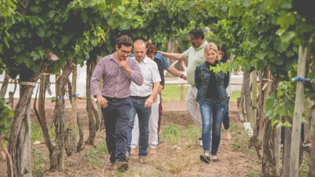 ¿Cómo es la bodega de vinos a granel más premiada de Argentina?