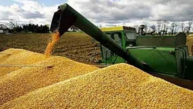 El 93% de las exportaciones del NEA provienen del campo y la agroindustria