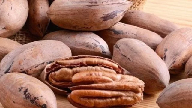 Tucumán apuesta por la nuez de Pecán para potenciar la diversificación productiva de la provincia (y generar más puestos de trabajo)