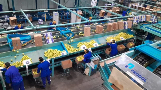 La Subdirección de Alimentos realizó visitas técnicas a empresas de citrus cesionarias del Sello “Alimentos Argentinos”