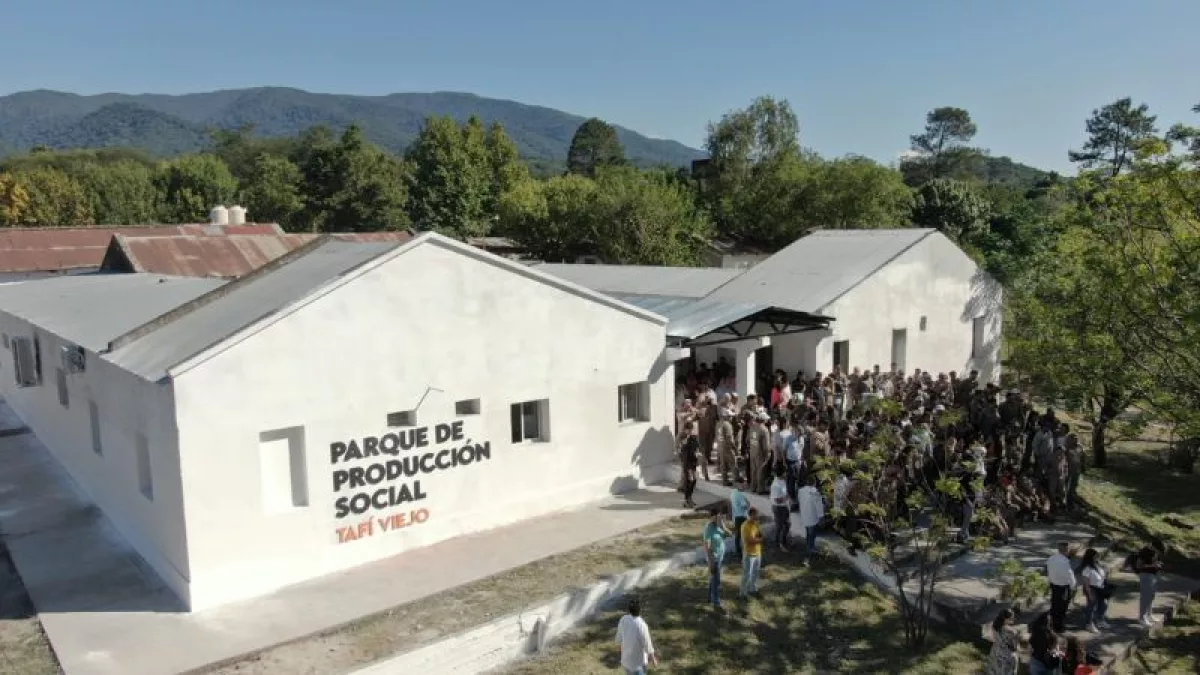El Parque de Producción Social lanzó la línea Yungasplak (la innovadora ...