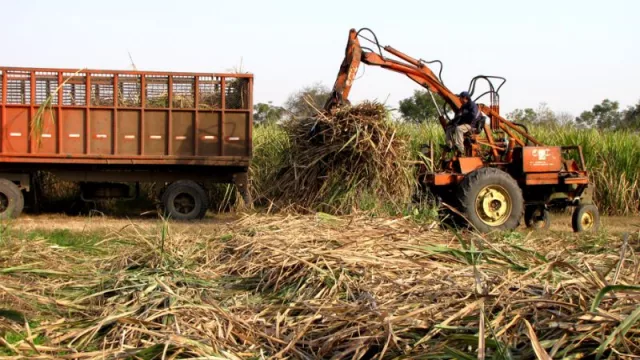 La zafra azucarera continúa avanzando en Tucumán (la molienda de caña de azúcar superó el 70%)