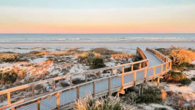 La asombrosa New Smyrna Beach: un paraíso costero ideal para practicar surf, ver delfines… ¡y tiburones!