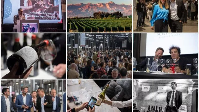 El vino argentino llega a San Pablo de la mano de Expo Vinos y Negocios (para conectar bodegas argentinas con importadores)