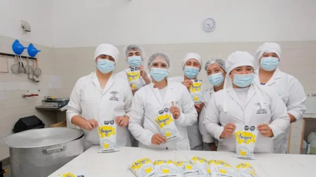 ¿Ya probaste el yogur de limón? Un producto 100% tucumano de “La Remolona”