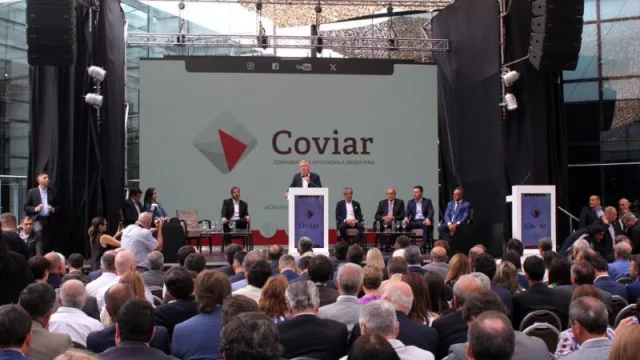 Incertidumbre en la vitivinicultura: Coviar enfrenta cuestionamientos y desafíos futuros​