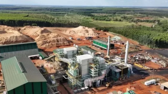 Corrientes pone en marcha la mayor planta de biomasa del país y se consolida como líder en energía renovable