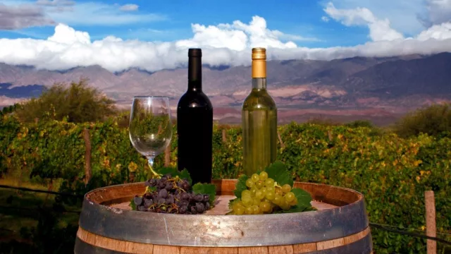 Tucumán será sede de la Wine Expo 2025 (el evento que reunirá a las grandes bodegas del país)
