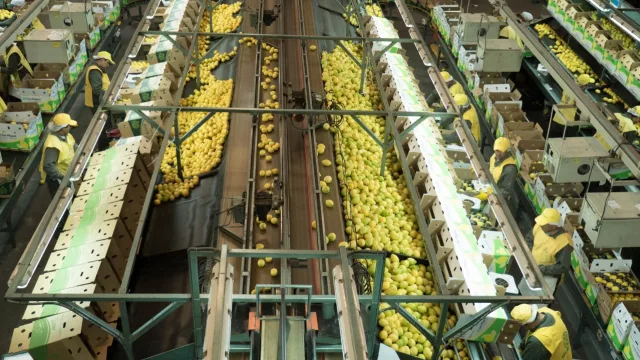 La empresa San Miguel obtuvo un préstamo por US$ 15 millones de sus accionistas para afrontar vencimientos de deuda