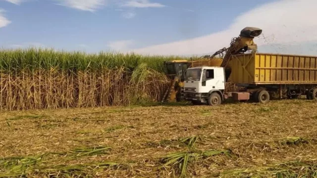 Tucumán acelera la zafra 2025 y fortalece su rol clave en la economía regional