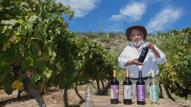 La Ruta del Vino de Altura pone a Tucumán en el centro del turismo y la producción nacional