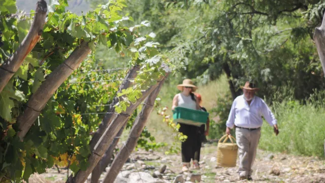 Colalao del Valle celebra a la Pachamama y fortalece la Ruta del Vino de Altura