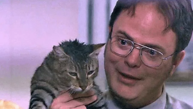 ¿Te preguntaste por qué todos queremos tener mascotas? (el futuro de ellas y de lo orgánico: The Office y el debate por la "extinción de la experiencia")