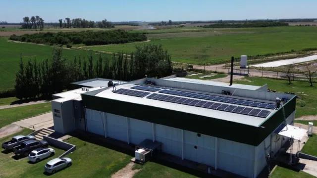La industria impulsa la adopción solar para optimizar costos (y mejorar la competitividad)