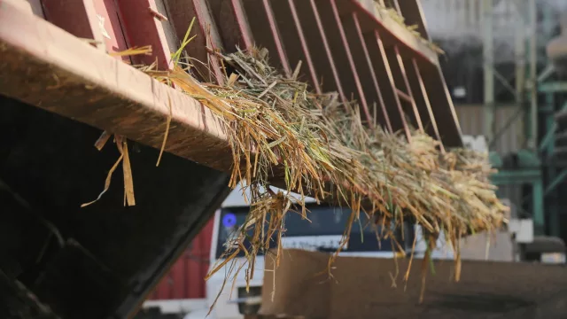 Zafra 2025: Tucumán avanza con el 90% de la molienda (Jujuy y Salta con el 79%)