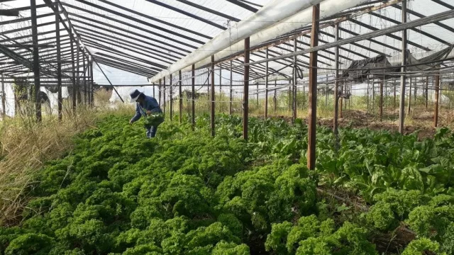 Catamarca proyecta una nueva etapa productiva tras un acuerdo industrial clave