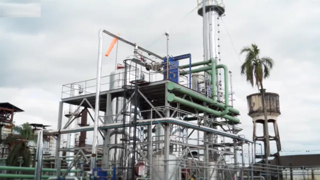 Tucumán lidera el NOA en producción de bioetanol (60% del total nacional de caña)