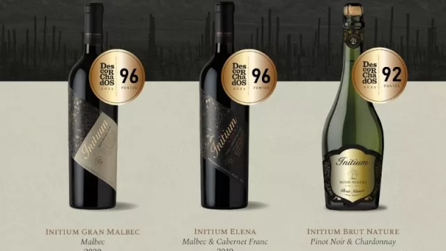 Moor Barrio, la bodega bonsai que se consagra en Descorchados 2026