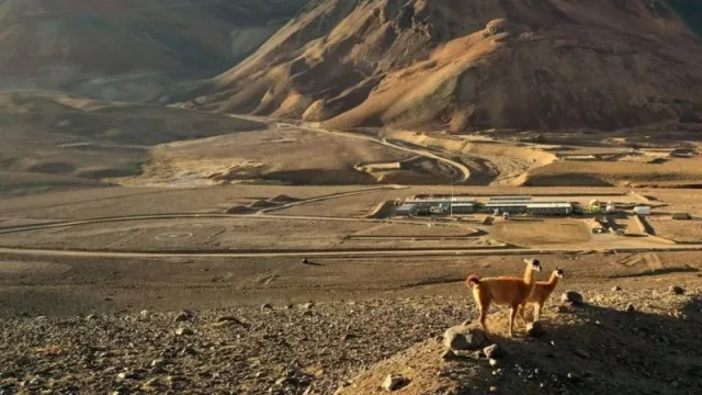 Glencore fija 2029 como fecha de inicio de construcción para El Pachón y proyecta invertir hasta US$ 10.500 millones