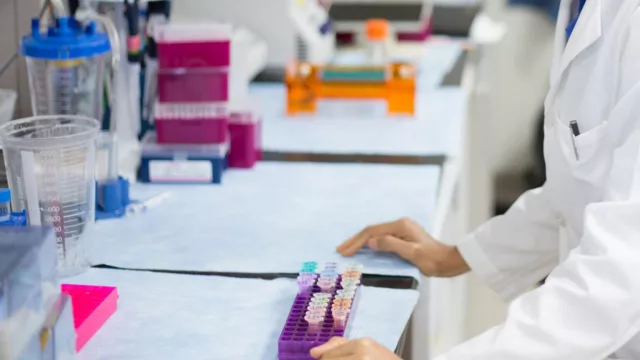 Impulso a la innovación en Tucumán: nuevas líneas de financiamiento para ciencia y startups