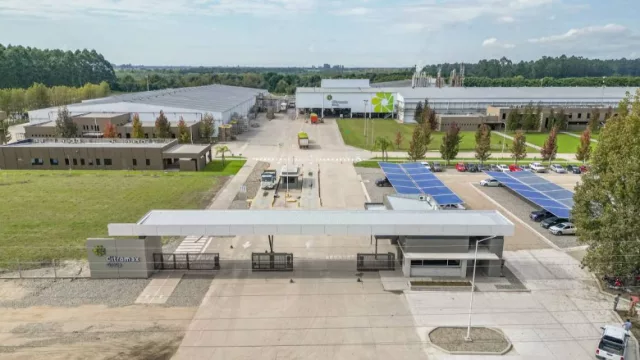 Un gigante del limón: Citromax exprime su propio biogás y avanza con una usina verde