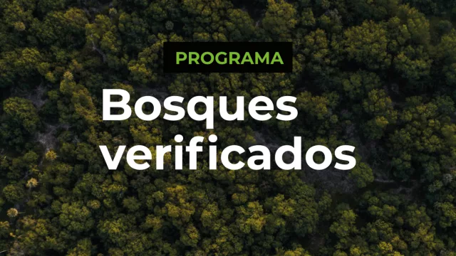 Impulsan a las MiPyMEs foresto-industriales de Tucumán con proyectos de inversión sostenible