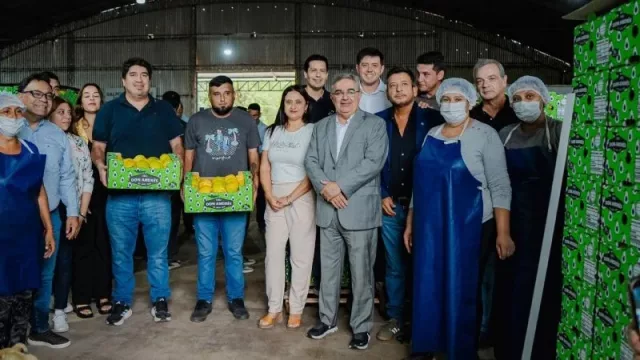 Catamarca impulsa su producción frutícola: más de 15 toneladas de membrillo ingresan al Mercado Central
