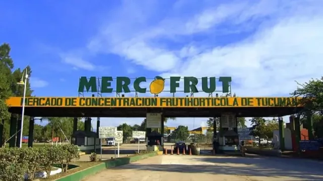 En Tucumán, las verduras de hoja subieron hasta 200% en 30 días (por caída de la producción local)